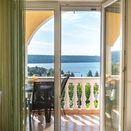 Guest house Milic 3*