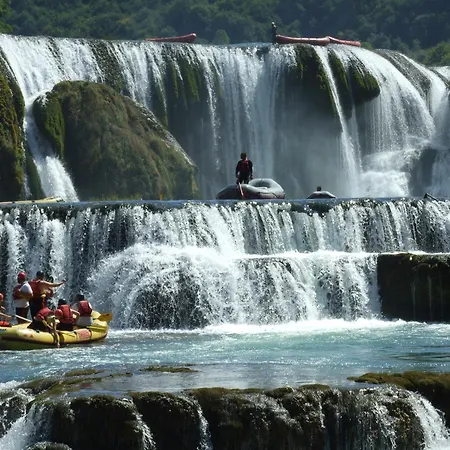 Pensionat Milic 3*